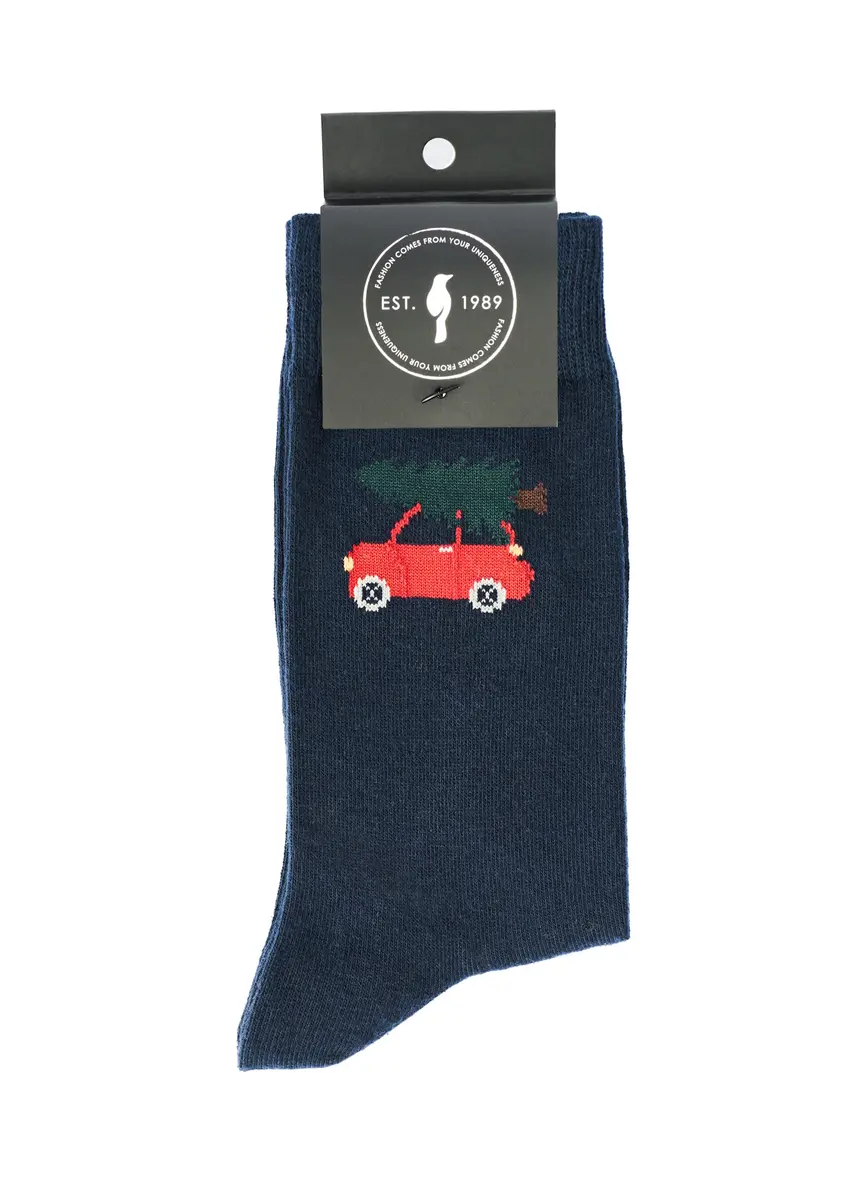 Довгі чоловічі шкарпетки з візерунком SKAMT-0198-69(Z25)