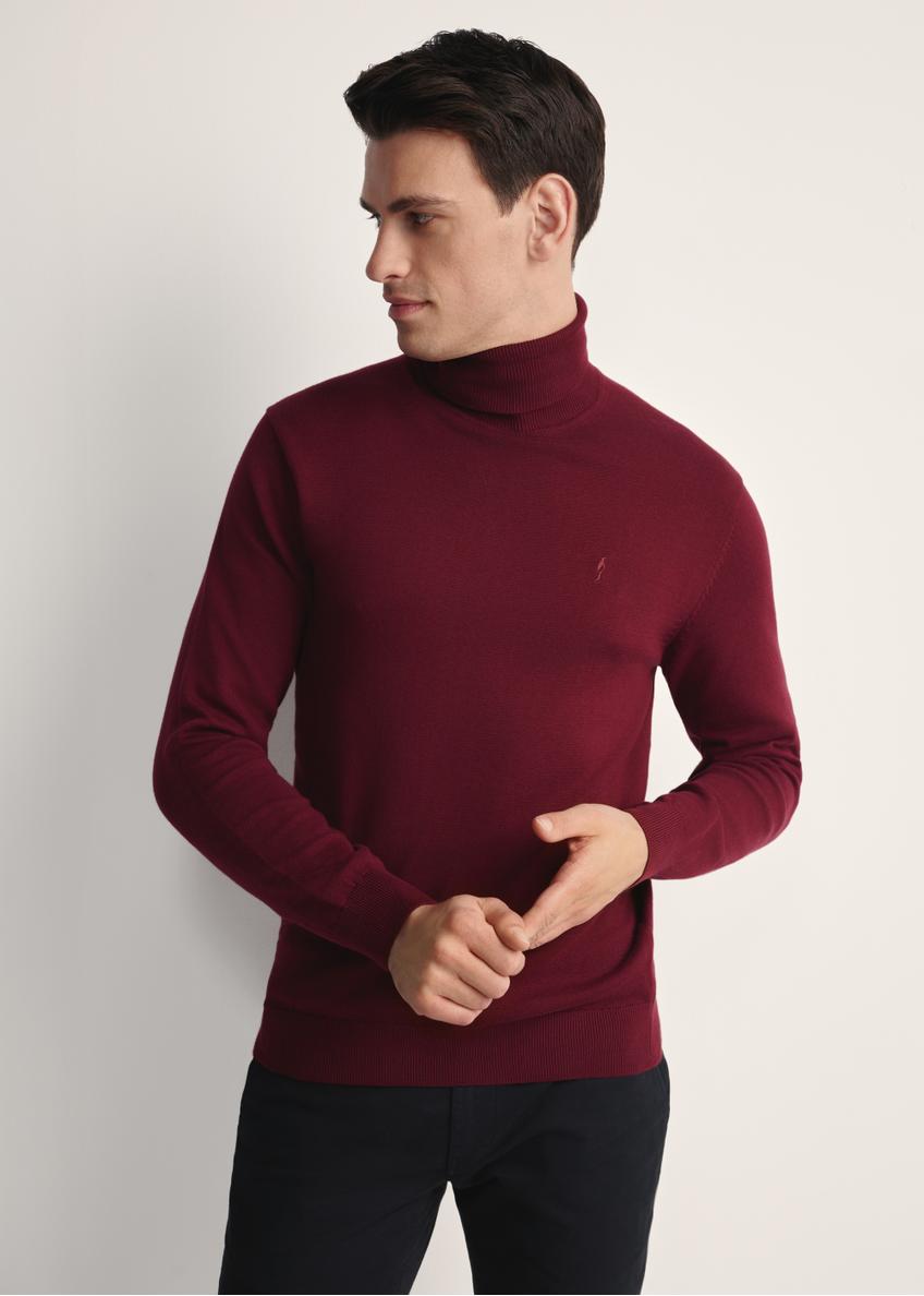 Бордовий чоловічий светр з високим коміром SWEMT-0095B-49(Z25), вигляд виробу спереду на моделі. Видно половину силуету.